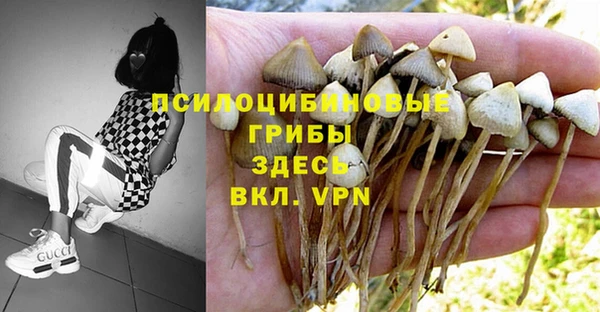 ГАЛЛЮЦИНОГЕННЫЕ ГРИБЫ Беломорск