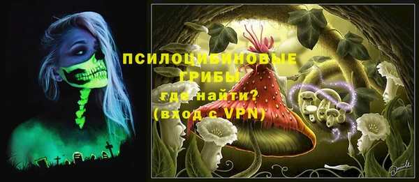 МДМА Белокуриха