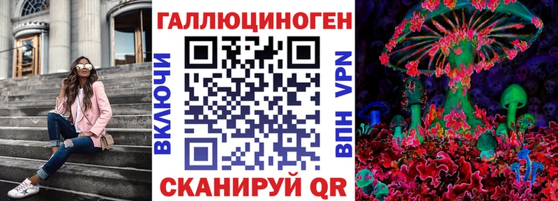 МЕГА зеркало Ярославль Псилоцибиновые грибы Psilocybine cubensis